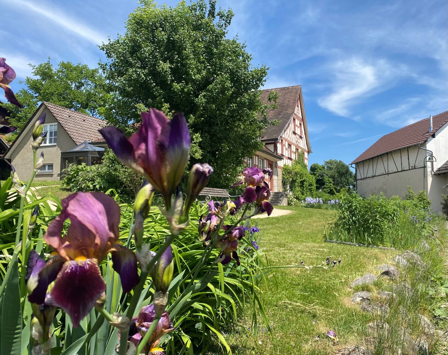 
          Hesse Museum Gaienhofen
          Bild 1