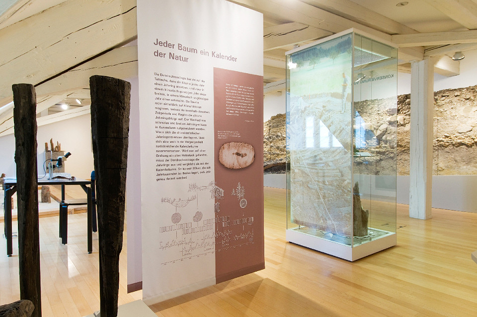 
        Museum für Archäologie Thurgau
        Bild 2