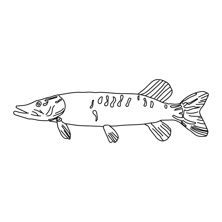 Museum Icon
        
        